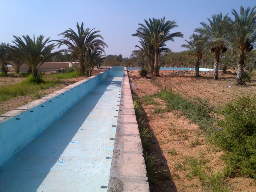 IMG-20130819-00651 (1)